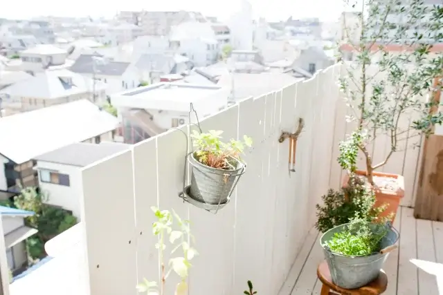 蜂がベランダに来る理由は？