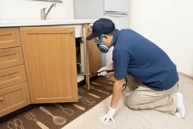 洗剤で無理ならプロにゴキブリの駆除を頼むべき？