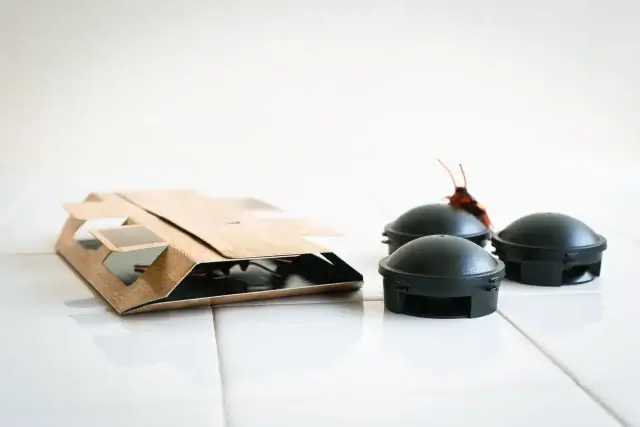 ゴキブリホイホイの正しい使い方とは？