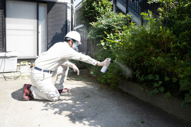 害虫駆除業者に依頼するメリットと手順