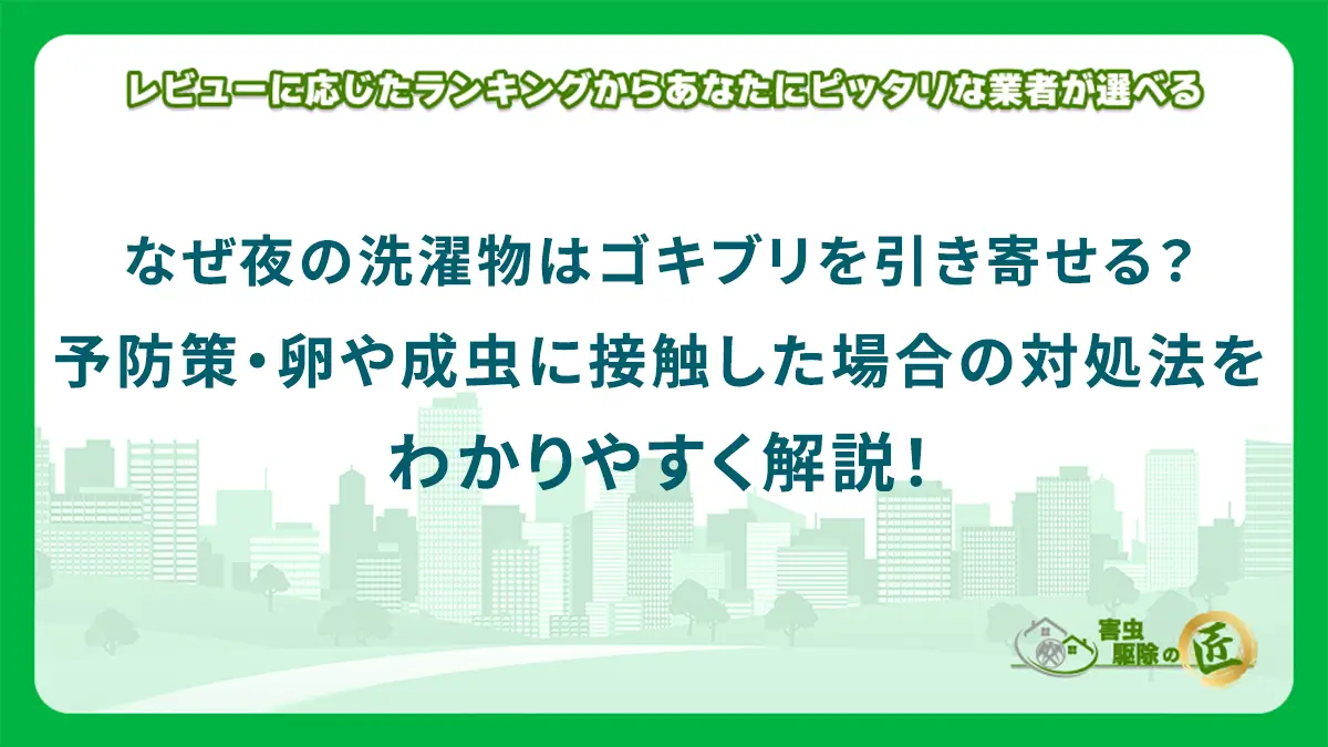なぜ夜の洗濯物はゴキブリを引き寄せる？予防策・卵や成虫に接触した場合の対処法をわかりやすく解説！