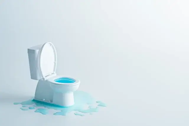 よくあるトイレ水漏れトラブル事例