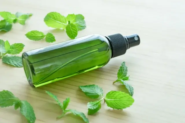 今夜からできる!洗濯物を守る最強のゴキブリ対策