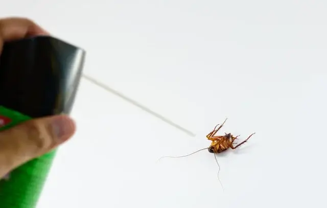 凍結スプレーの失敗しない使い方