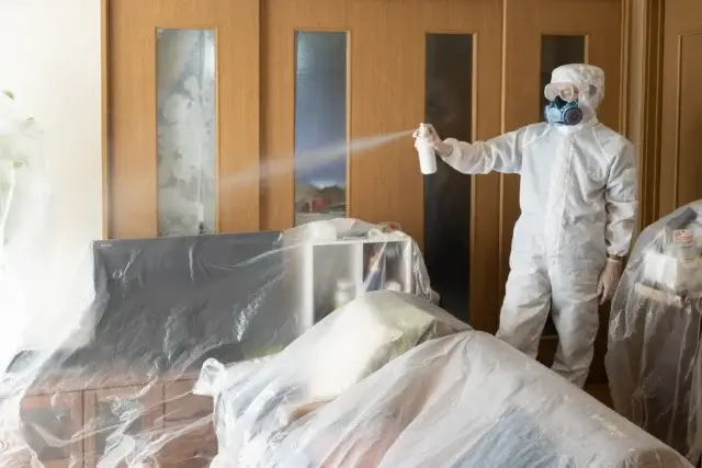 繰り返すようならゴキブリの巣があるかも?プロに頼るべきサイン