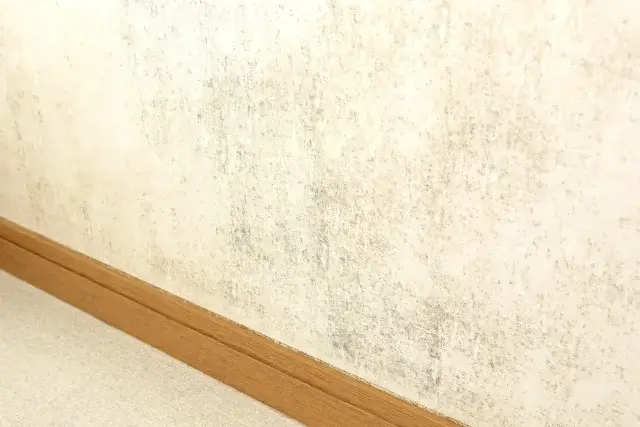 トイレ便器と床の隙間からの水漏れの放置リスク